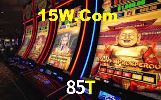 85t.com