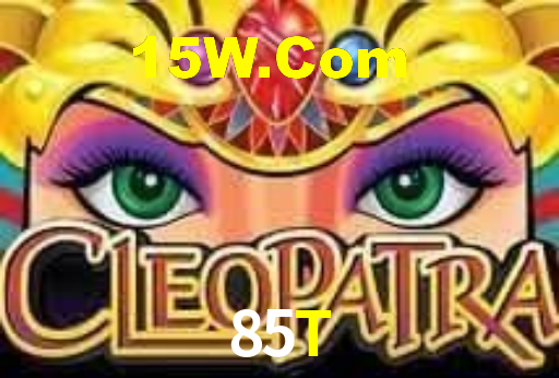 85T,85t.com
