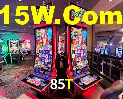 85T,85t.com