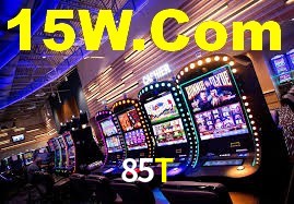 85t.com